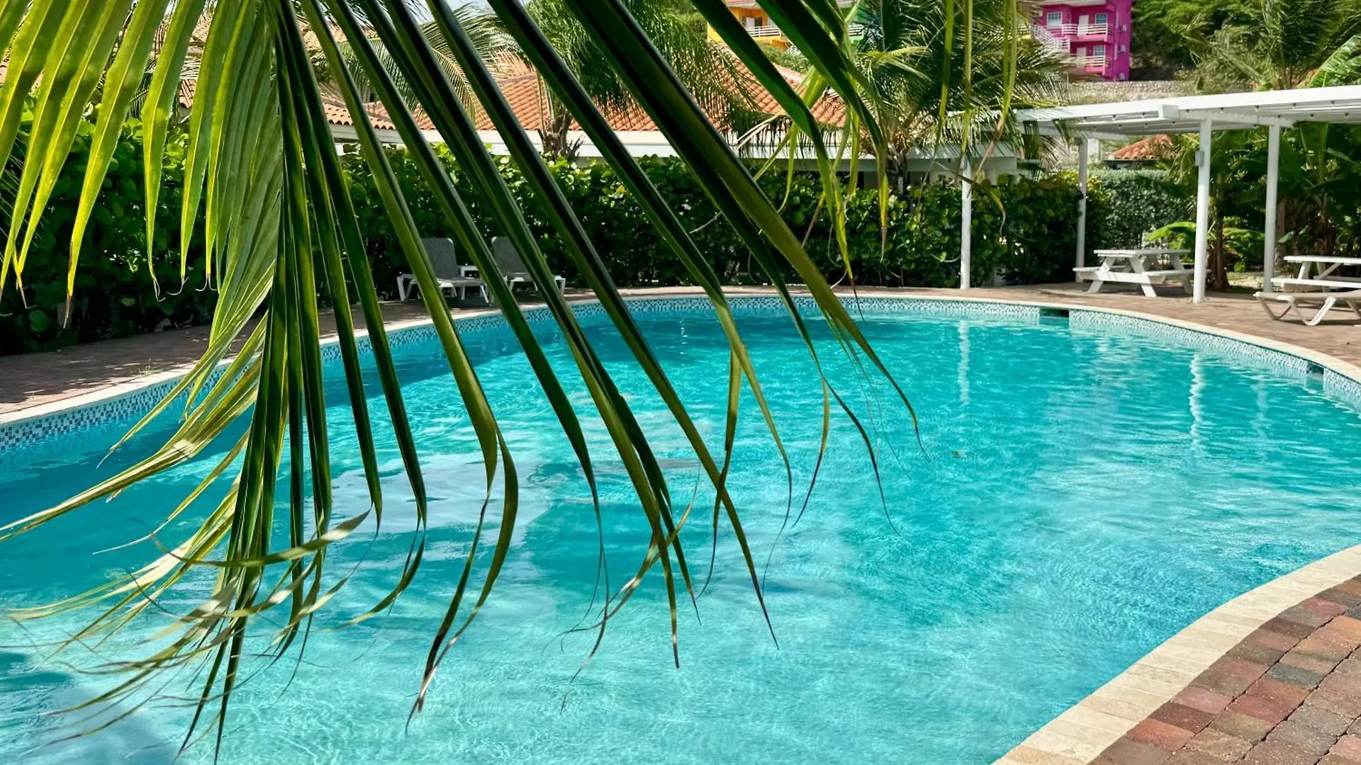 Pali Koko, Modern Appartement 5 Min Vanaf Mambo Willemstad